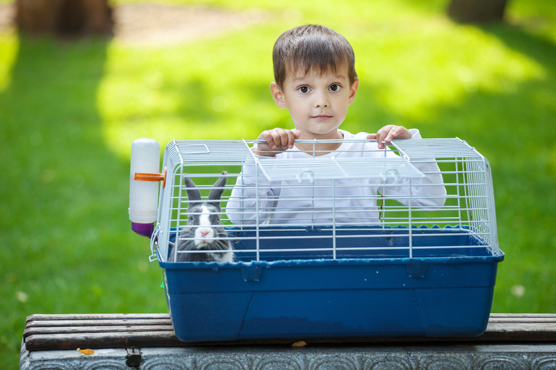 moving services moving companies