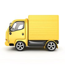 n21 van with man