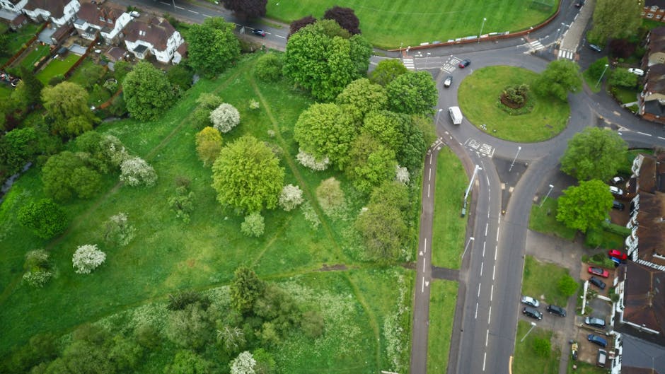 An aerial view of a residential area showing a small roundabout at the intersection of several roads, with parked cars along the street. Adjacent to the road is a lush green park with numerous mature trees, some with white blossoms, and well-maintained grassy areas. The park is bordered by a row of houses, some with gardens, situated on the left side of the image. The scene is illuminated by natural daylight, highlighting the vibrant green foliage and the tidy arrangement of vehicles and pathways, capturing a typical UK suburban setting where house removals and relocation services may be involved, such as loading furniture into vans or navigating through local streets to facilitate home relocation, as managed by Man with Van Grange Park.