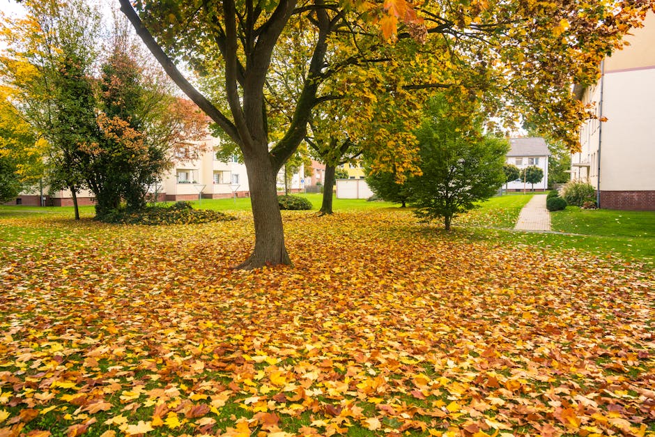 A residential scene during autumn featuring a large tree with a sturdy trunk and branches extending outward, covered in yellow and orange leaves. The ground beneath the tree is layered with fallen lea