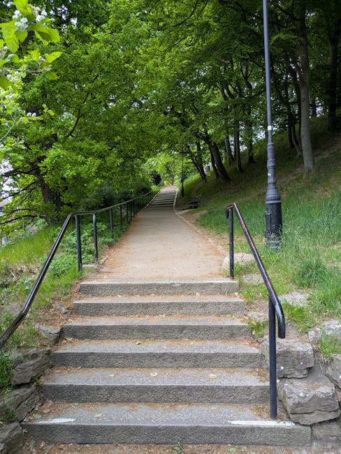 A set of concrete stairs with black metal handrails on both sides leading up a gentle incline pathway surrounded by lush green trees and foliage. The pathway appears to be part of a public park or outdoor area, with a paved walking route continuing beyond the stairs into a shaded, wooded environment. A traditional lamppost with a black base and grey pole stands to the right of the stairs, casting natural light over the scene. The area is well-maintained, with grass and small plants growing along the edges of the pathway and rocks framing the bottom of the stairs. This tranquil outdoor setting, featuring a clear, ascending walkway lined with mature trees, suggests an environment suitable for walking or light outdoor activities, and aligns with themes of community and outdoor spaces, indirectly supporting the context of home relocation and moving logistics.